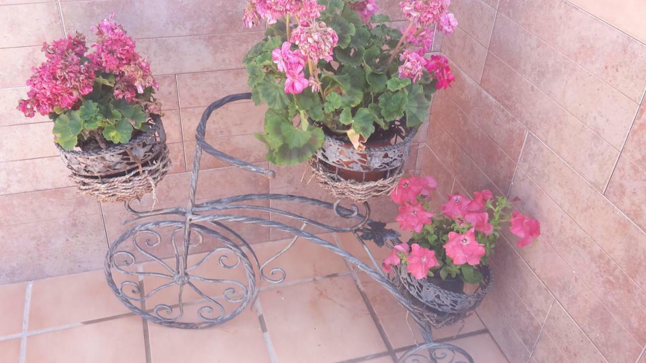 Bravo 24 Leilighet Fuengirola Eksteriør bilde